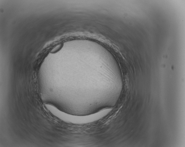 X0000083971494200703161518