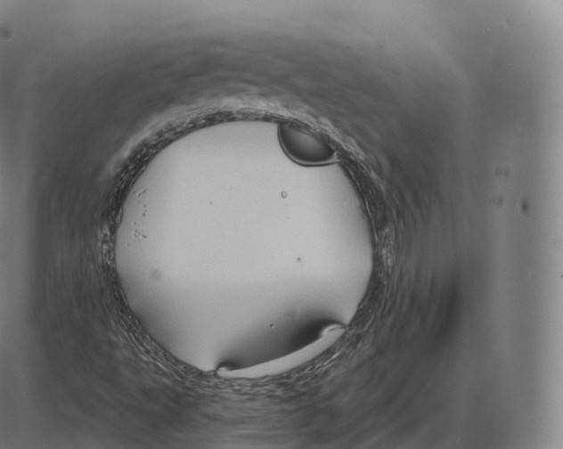 X0000083971495200703161518