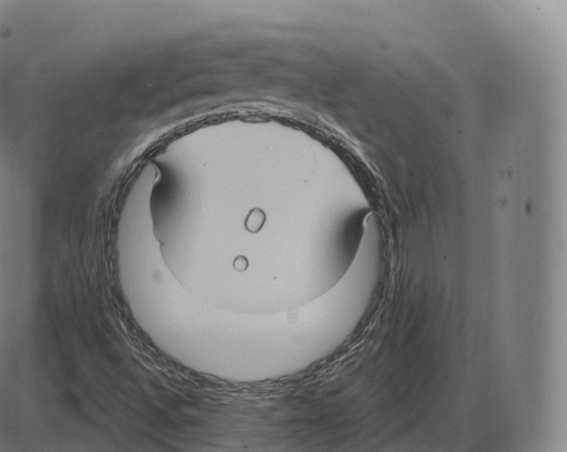 X0000083971496200703161518