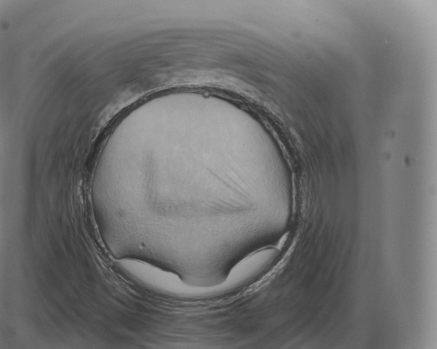 X0000083971497200703161518