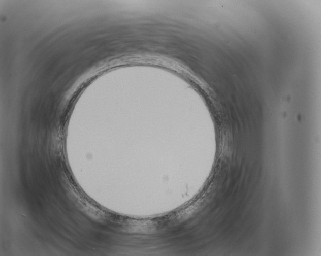 X0000083971498200703161518