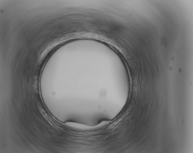 X0000083971499200703161518