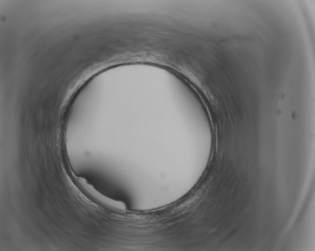 X0000083971500200703161518