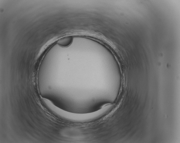 X0000083971501200703161518