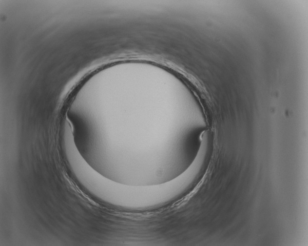 X0000083971502200703161518