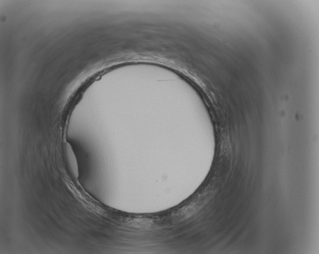 X0000083971503200703161518