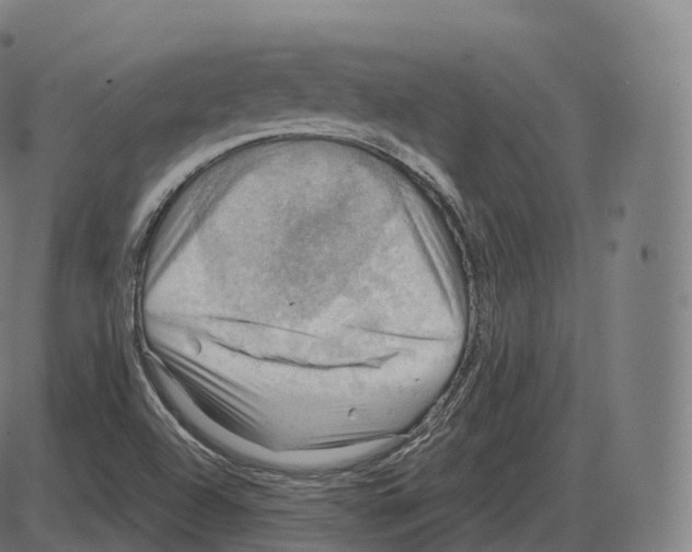 X0000083971504200703161518