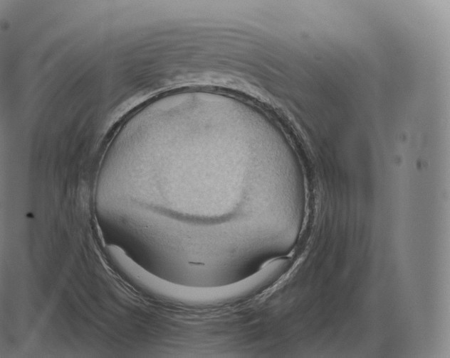 X0000083971505200703161518