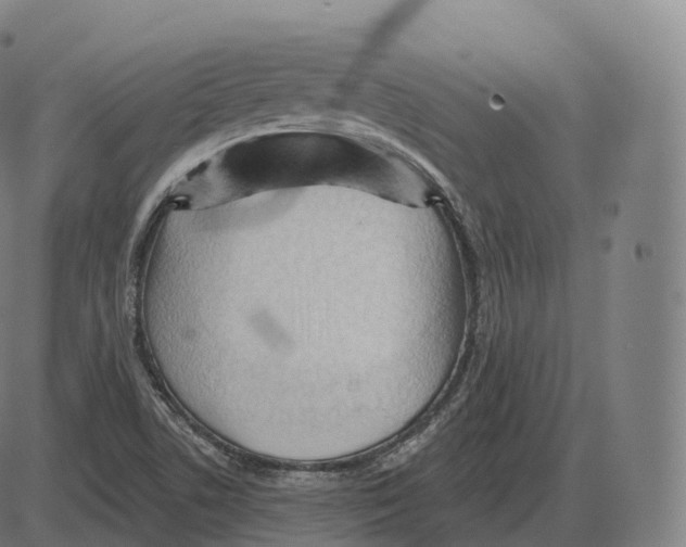 X0000083971506200703161518