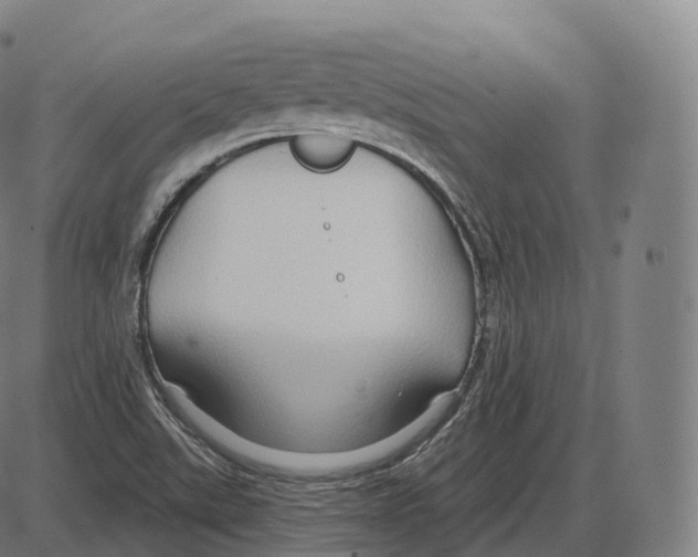 X0000083971507200703161518