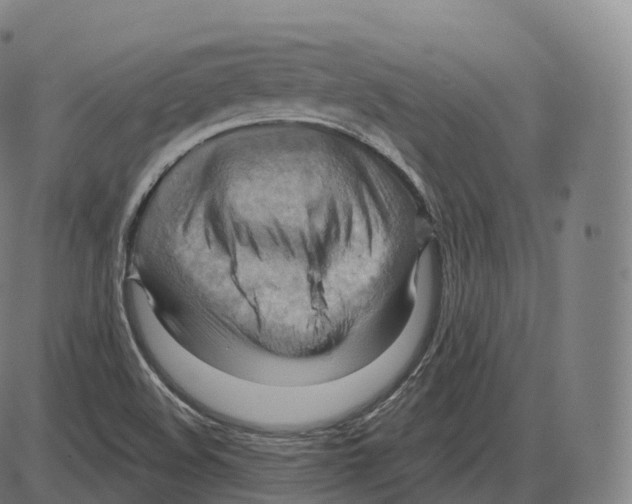 X0000083971508200703161518