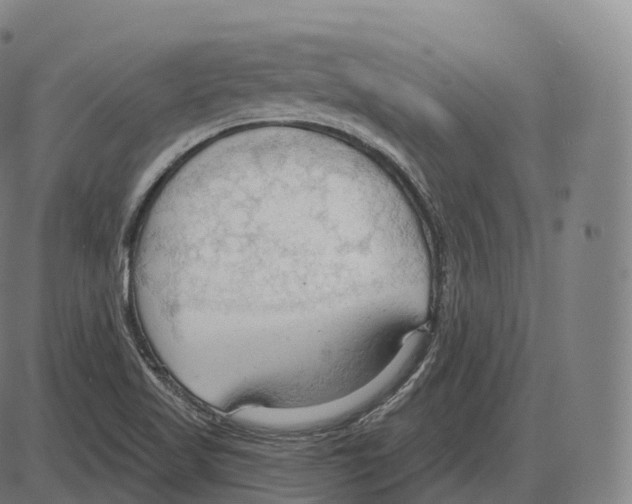 X0000083971509200703161518