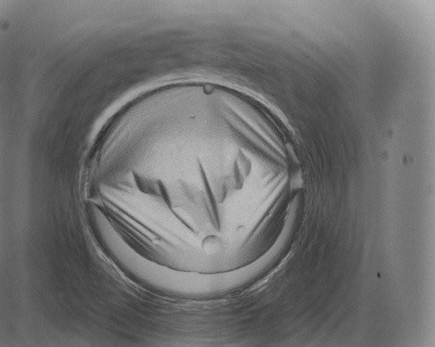 X0000083971510200703161518