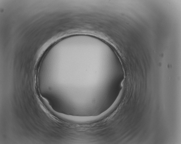 X0000083971511200703161518