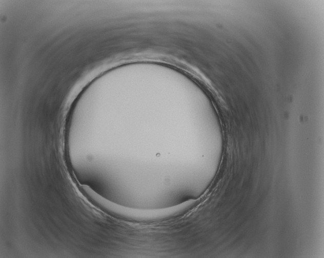 X0000083971512200703161518