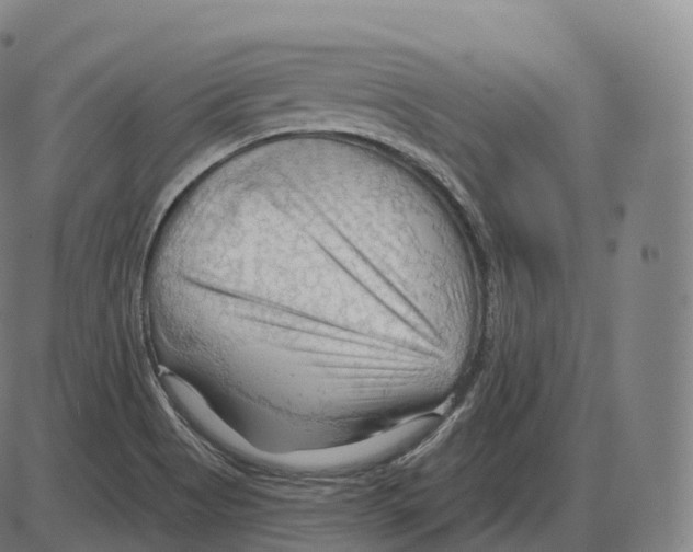 X0000083971513200703161518