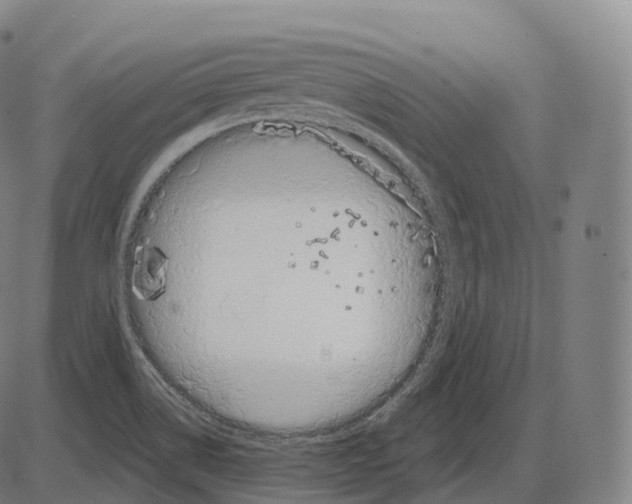 X0000083971514200703161518