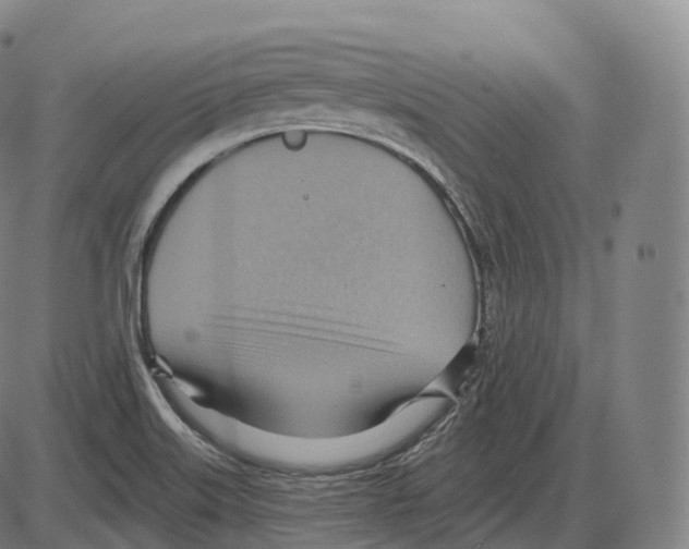 X0000083971515200703161518