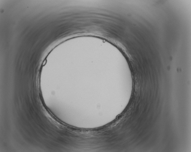 X0000083971516200703161518