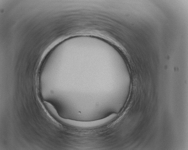 X0000083971517200703161518