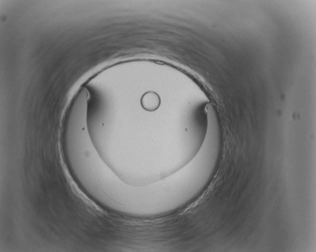 X0000083971518200703161518