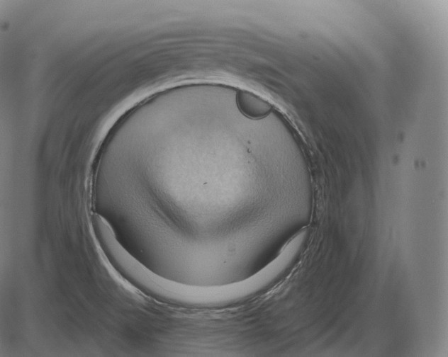 X0000083971519200703161518