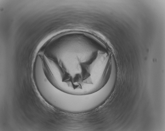 X0000083971520200703161518