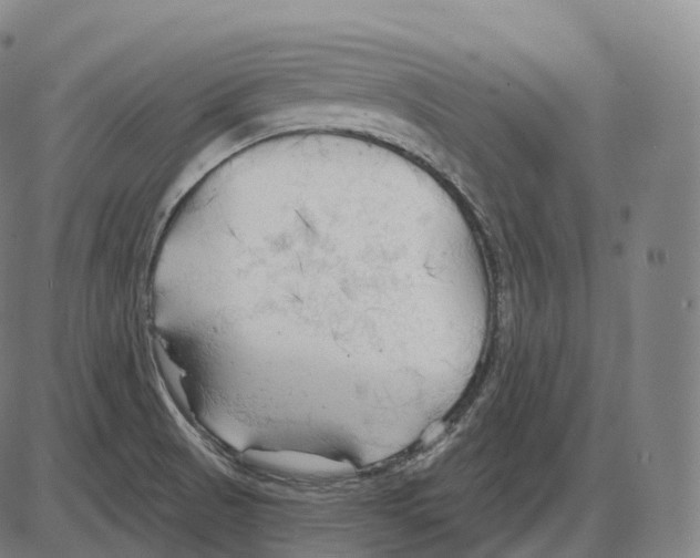 X0000083971521200703161518