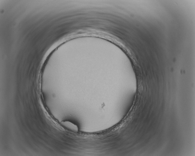 X0000083971522200703161518