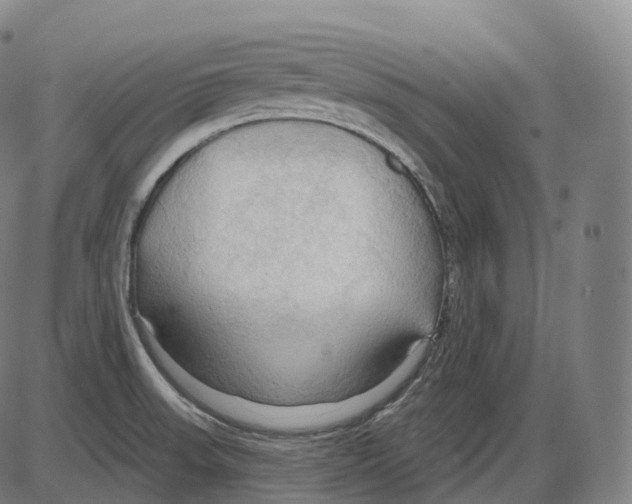 X0000083971523200703161518