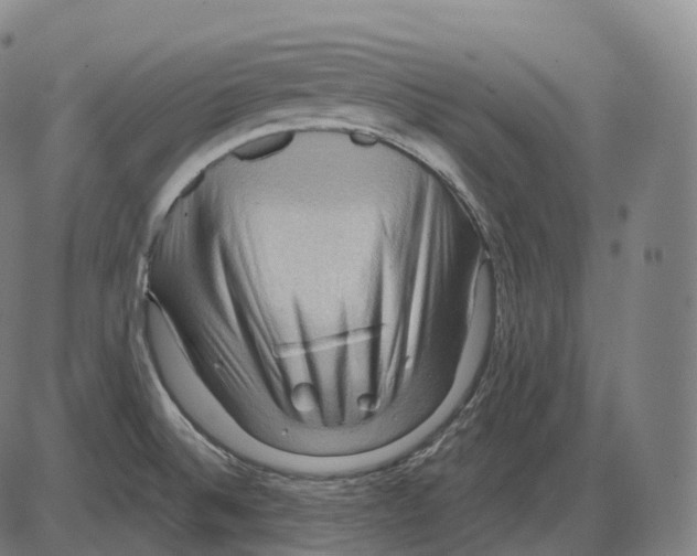 X0000083971524200703161518