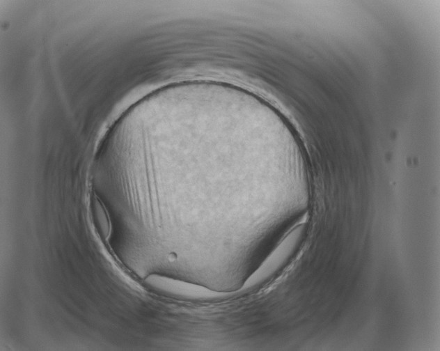 X0000083971525200703161518