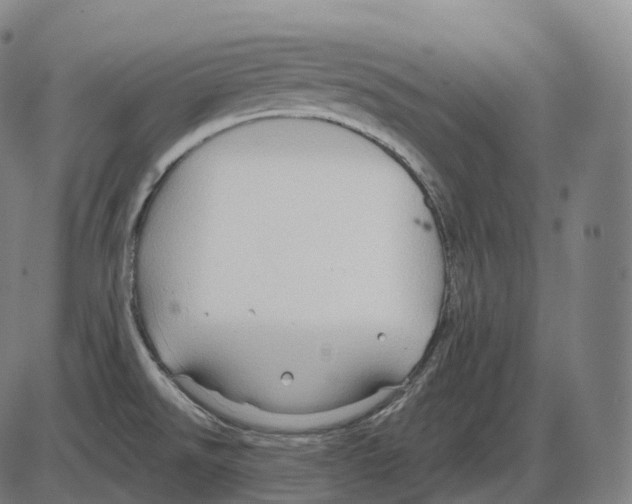 X0000083971526200703161518