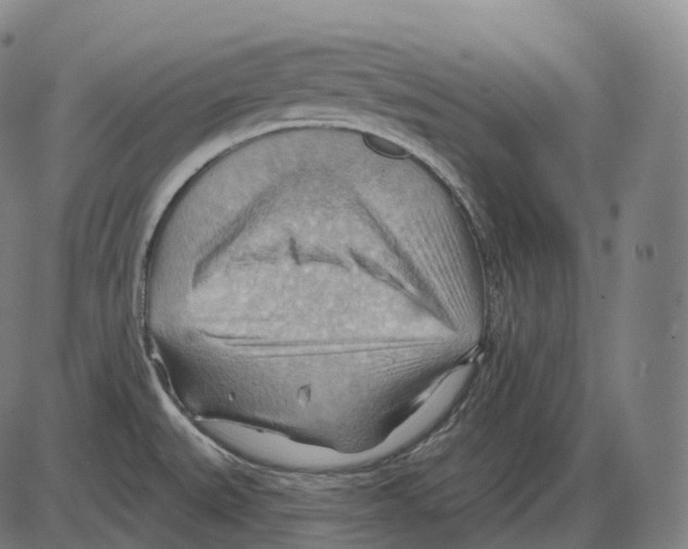 X0000083971527200703161518