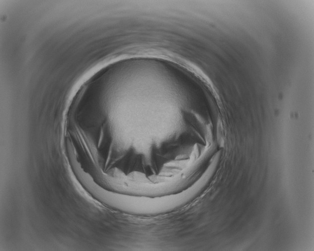 X0000083971528200703161518