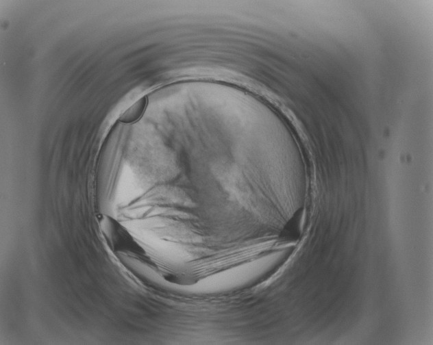 X0000083971529200703161518