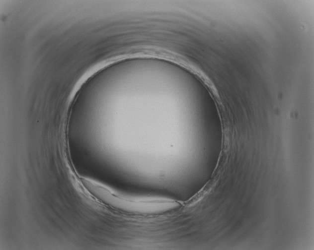 X0000083971530200703161518