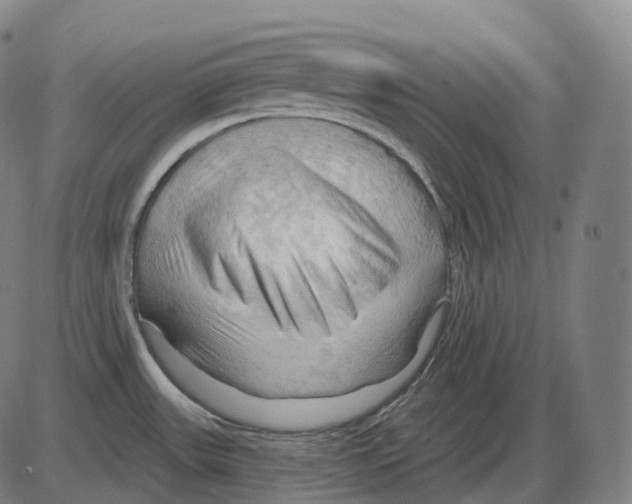 X0000083971531200703161518