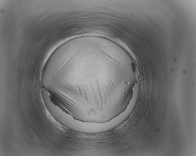 X0000083971532200703161518