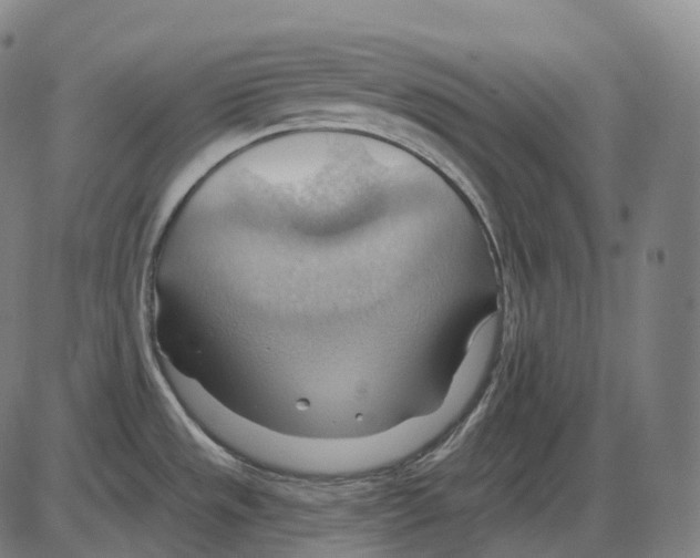 X0000083971533200703161518