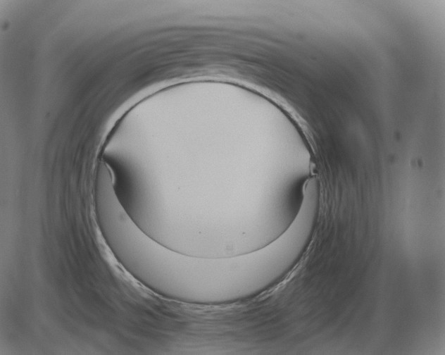 X0000083971534200703161518