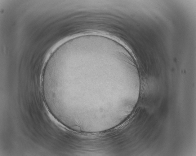 X0000083971535200703161518