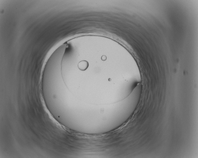 X0000083971536200703161518