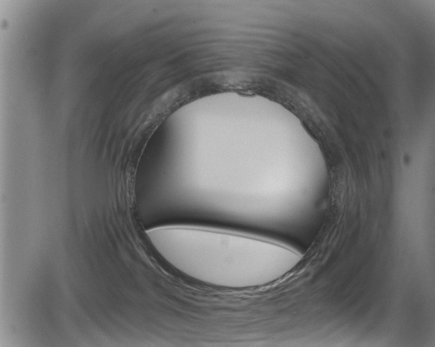 X0000083980044200702160804