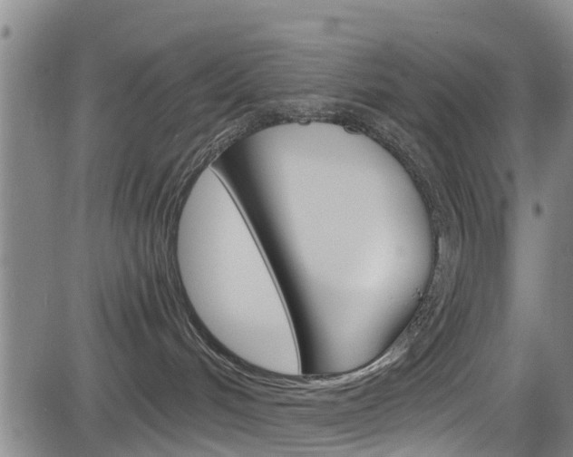 X0000083980048200702160803