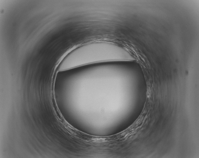 X0000083980052200702160803
