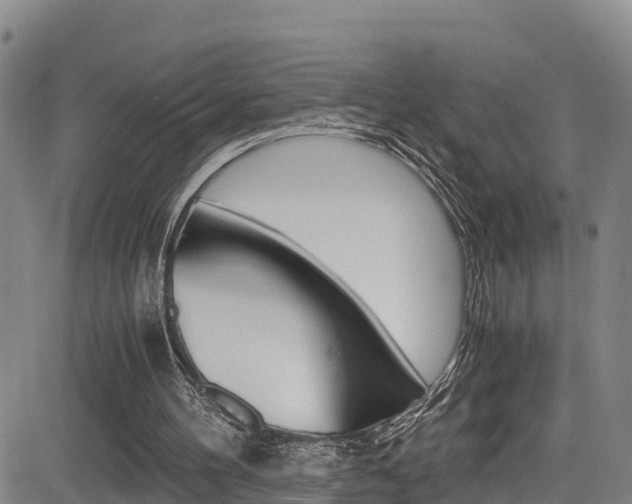 X0000083980100200702160803