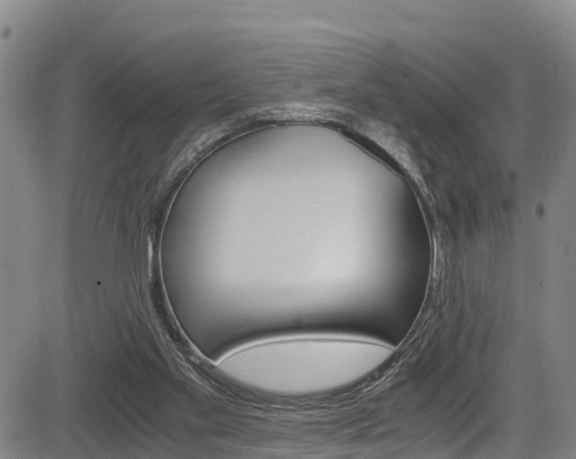X0000083980109200702160802