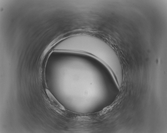 X0000083980150200702160801