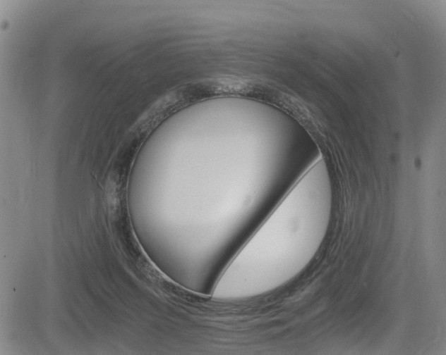 X0000083980215200702160801